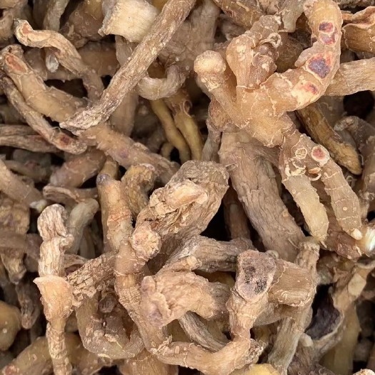 鸡头黄精