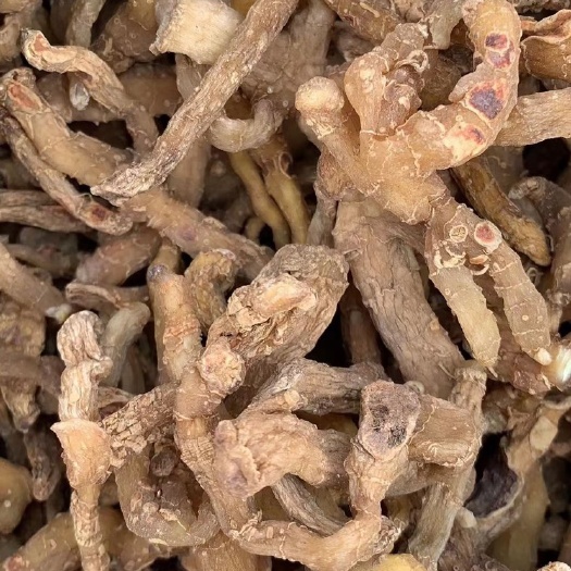 陇西县鸡头黄精
