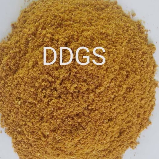 石家庄DDGS。