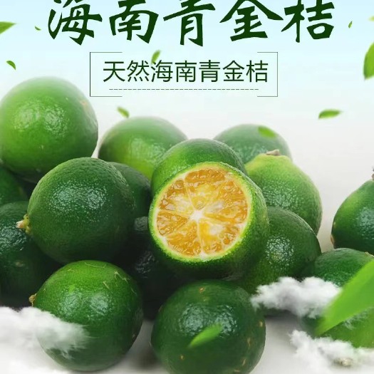 海口长期供应小青橘