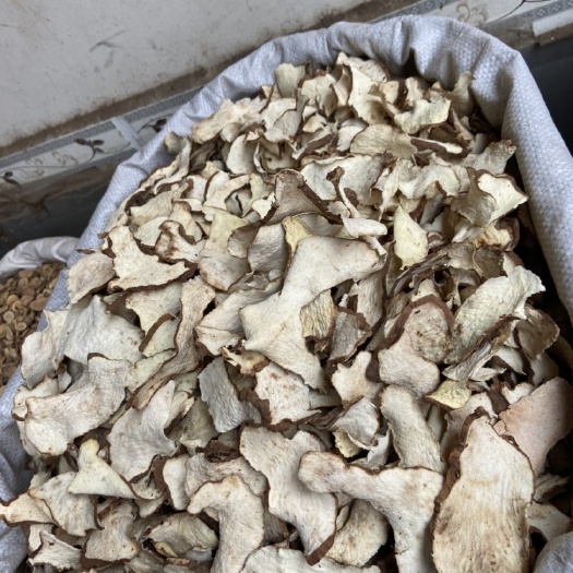 邵东市棉萆薢