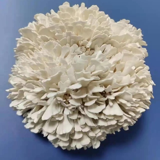 桐梓县白舞茸餐饮新品，炒菜火锅创新菜