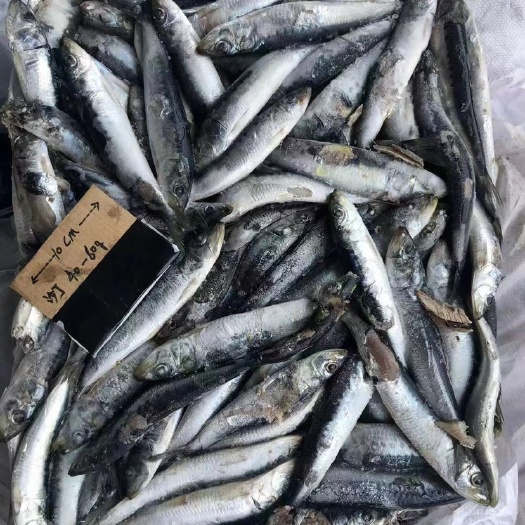 石狮市七星沙丁饲料一锅 不定重过磅