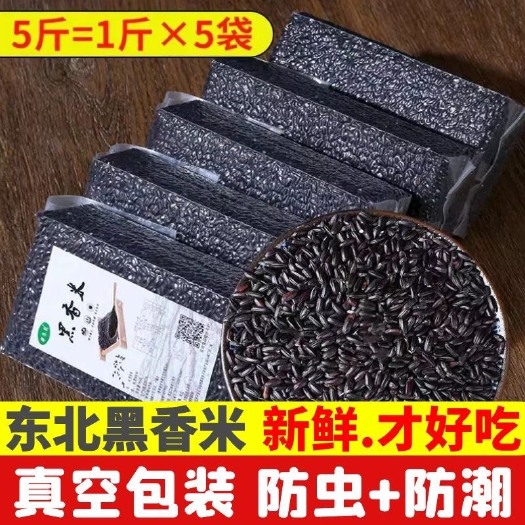 原阳县黑米米砖东北黑米五谷杂粮营养餐支持各种规格定制