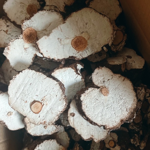楚雄市云南全干无硫带皮茯神