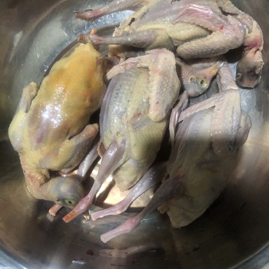 交城县鸽肉