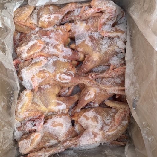 玉田县白条鸡