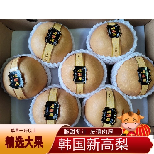 冠县大量供应优质丰水梨、秋月梨、黄金梨、绿宝石梨、新高梨产地直发
