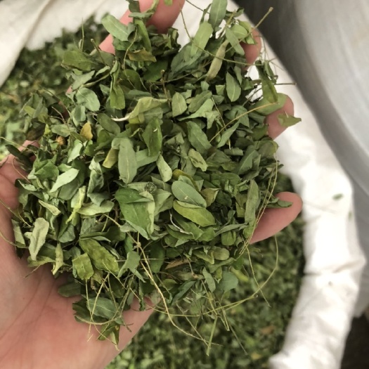 玉林鸡骨草叶 鸡骨草 干藤 鸡骨草叶子相思叶