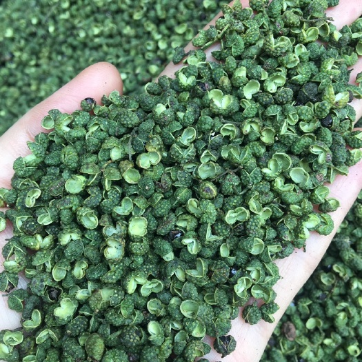 昆明青麻椒 青花椒