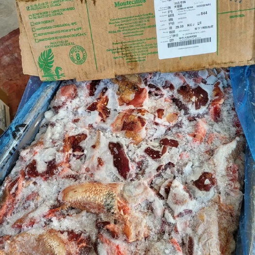 上海哥斯达黎加 牛唇 一手货源 冻牛肉 牛副