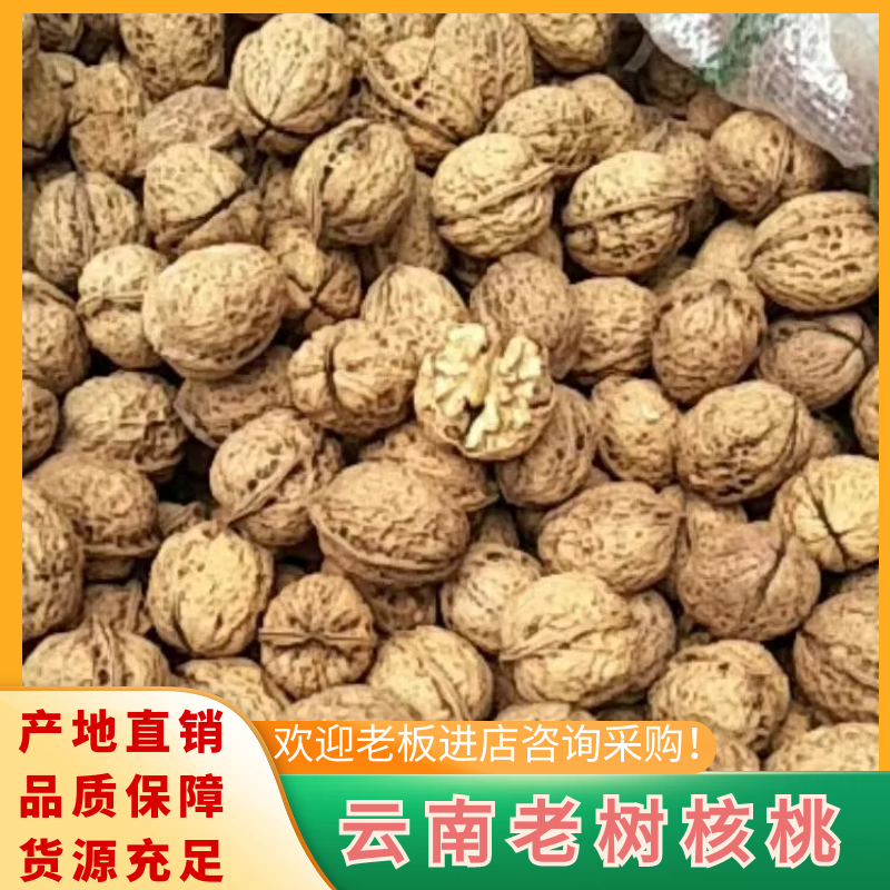 禄劝彝族苗族自治县云南老树核桃果，溥壳，肉厚，口感香甜