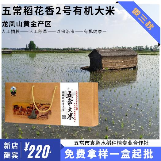 2023五常稻花香2号新米。龙凤山产地直发，晚稻。