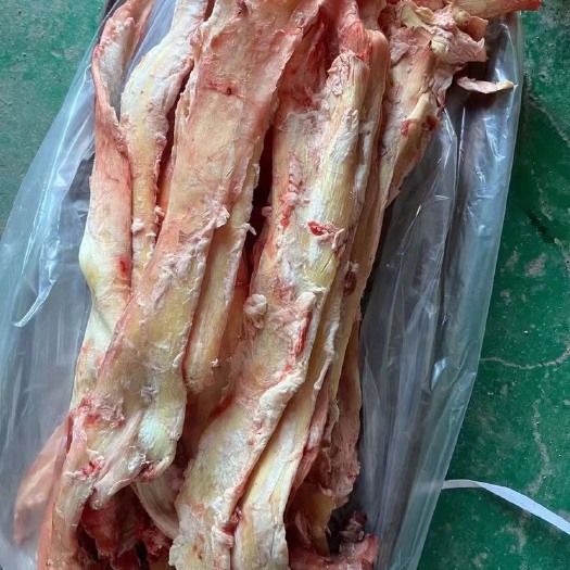 东莞市牛筋 精修无油牛板筋、牛蹄筋