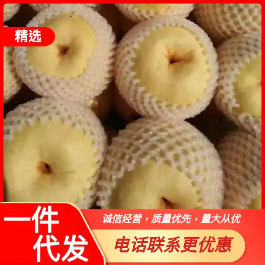 文水县贡梨，一件包邮
