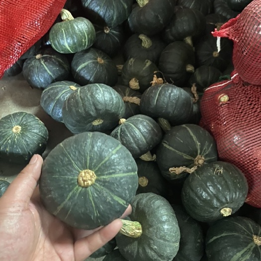 寿光市贝贝南瓜