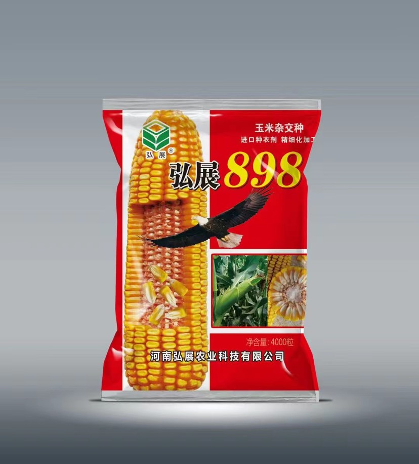 郑州高产大棒玉米种子，弘展898玉米种子，抗锈病，耐高温耐旱抗倒