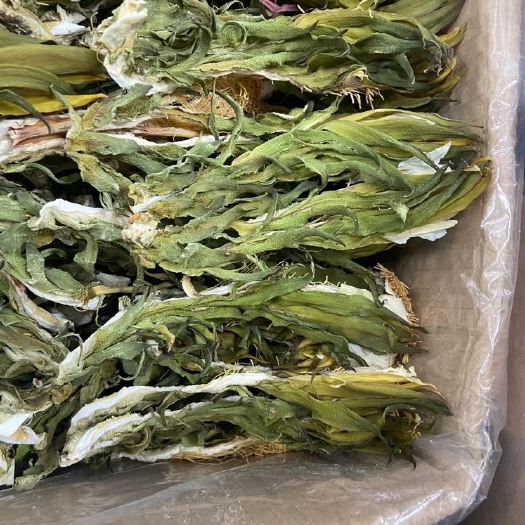 广州霸王花