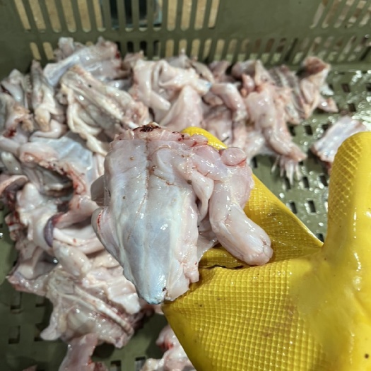 汕头牛蛙前腿，