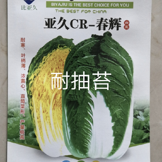 CR~春辉黄心大白菜种子耐寒抗病结球紧实囗感好商品性强