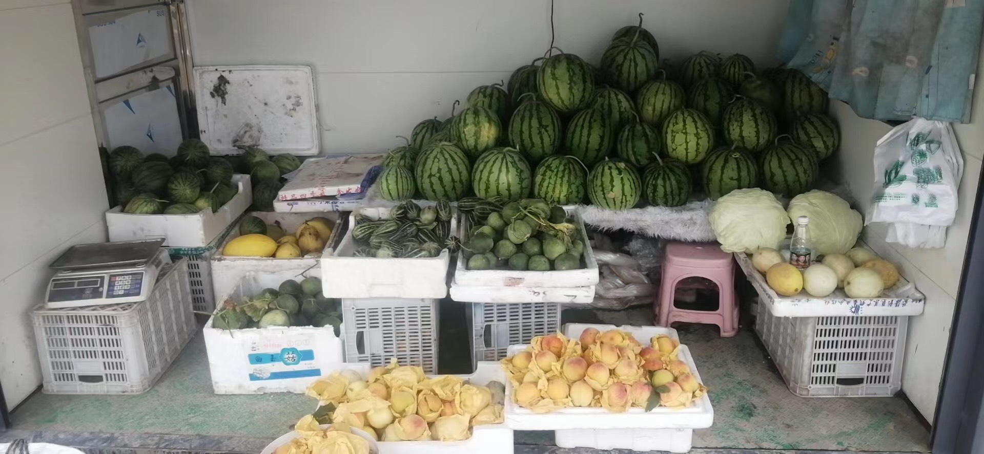 宁波慈溪花菜瓜甜瓜脆甜博洋9号