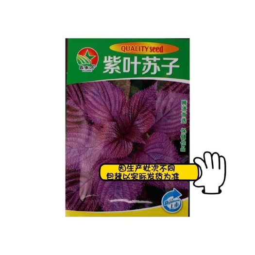 长沙可食用紫苏子种籽双面紫苏种紫苏籽蔬菜种子籽阳台种菜苏麻野菜籽