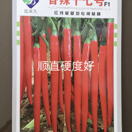 香辣十七号F1线椒种子耐湿热干旱综合性强青红两用香辣