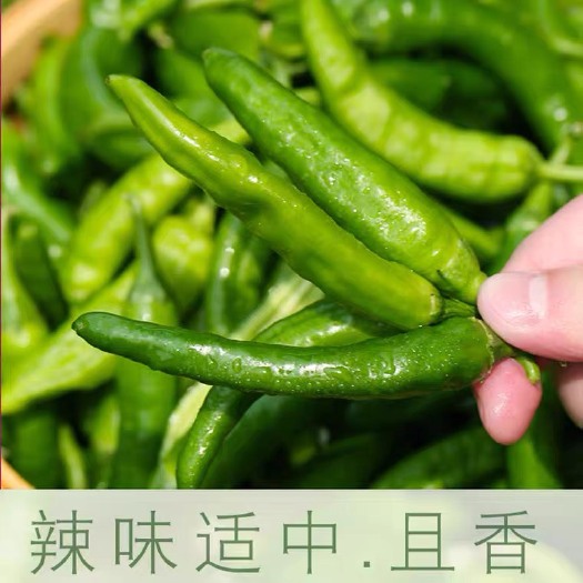 长子县饭饭香