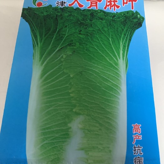 高山青麻叶白菜津绿白菜麻叶青大白菜青口白菜当季绿叶蔬菜