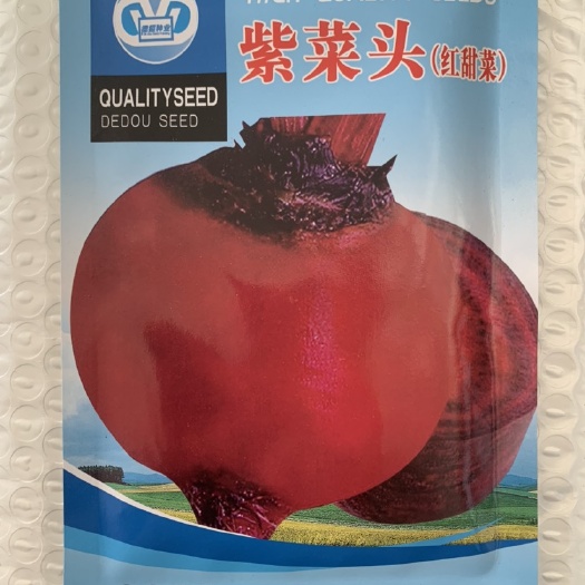 长沙【甜菜根种子】青丰红甜菜 紫菜头种子红菜头 营养蔬菜 红甜菜