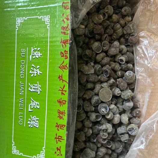 海口速冻剪尾螺，4.5kg/箱，源头工厂直供
