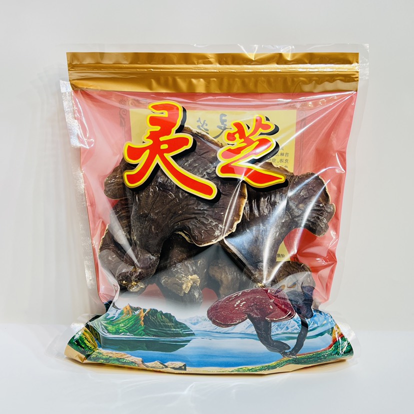 【大号灵芝】树下金边灵芝长白山大号灵芝树下灵芝