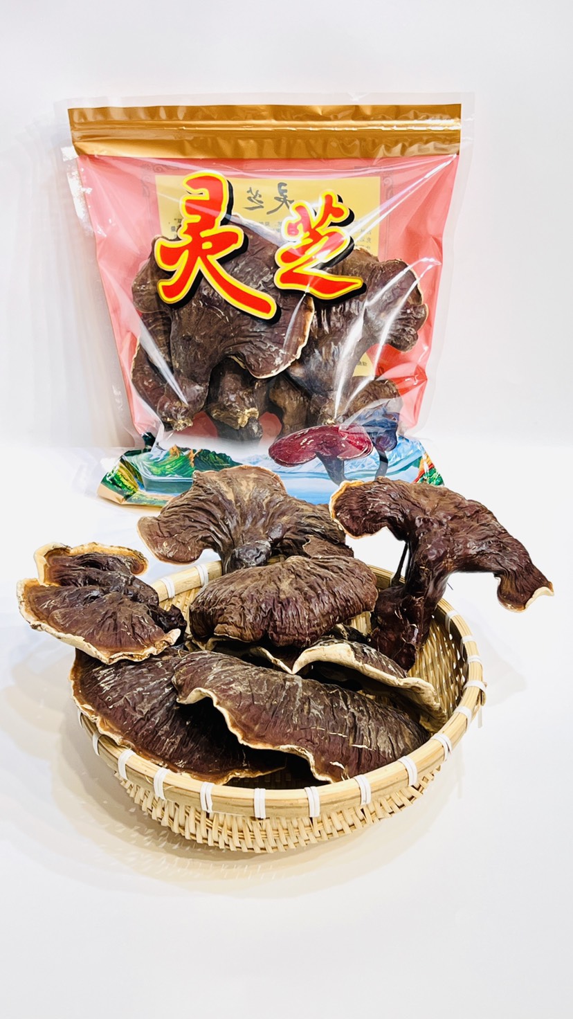 【大号灵芝】树下金边灵芝长白山大号灵芝树下灵芝
