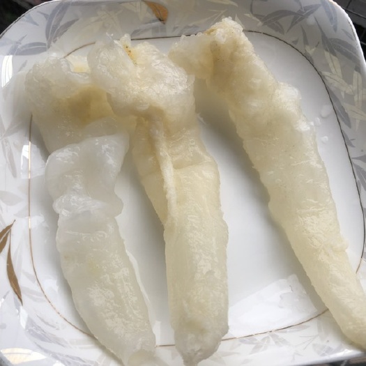 广州巴沙胶质量货65头