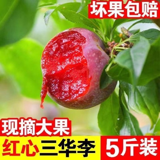 汝城县【现摘秒发】包邮红心三华李子红肉李当季新鲜孕妇酸甜水果整箱批