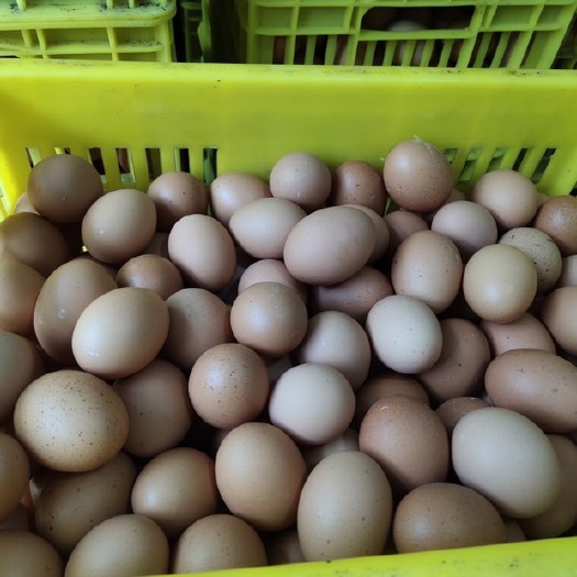 杭州鸡蛋