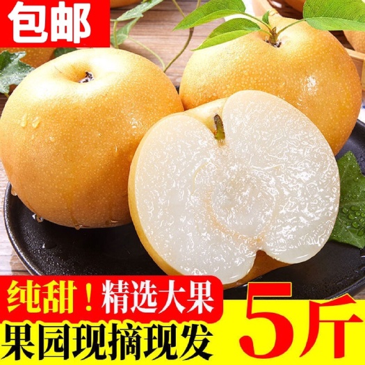 雪梨皇冠梨雪花梨水果新鲜梨子应季水果批发整箱梨子薄皮润肺酥梨