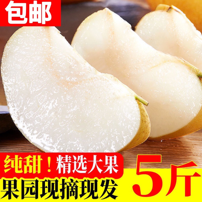 雪梨皇冠梨雪花梨水果新鲜梨子应季水果批发整箱梨子薄皮润肺酥梨