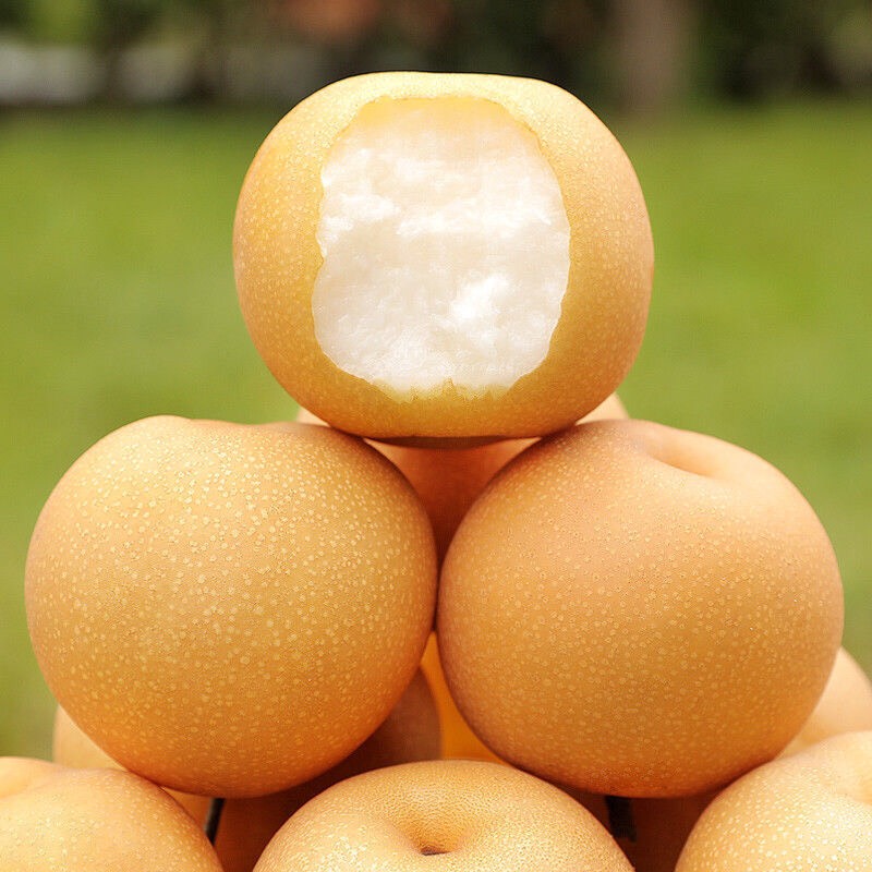 雪梨皇冠梨雪花梨水果新鲜梨子应季水果批发整箱梨子薄皮润肺酥梨