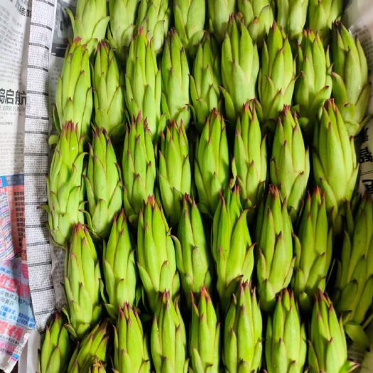 潍坊霸王花