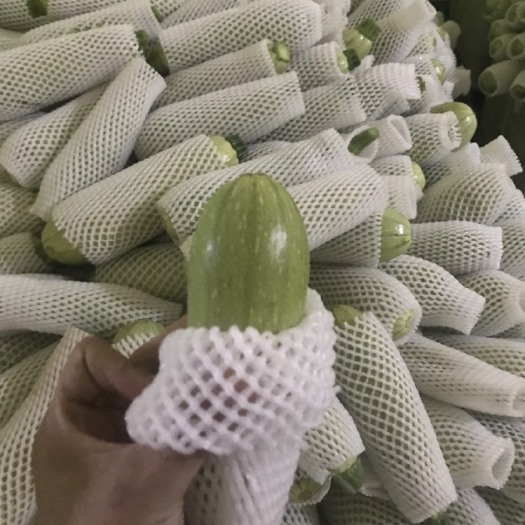 西葫芦通货