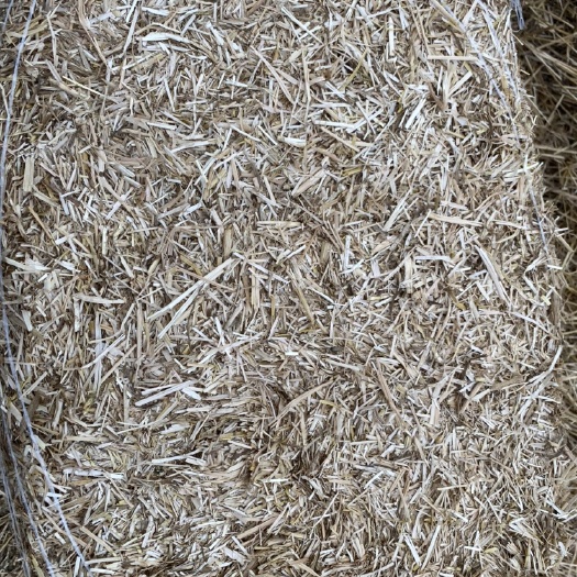 宝鸡小麦秸秆