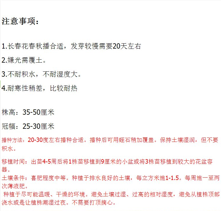 耐寒花种长春花种子日日春天天开种子四季开花易活花籽庭院观赏草