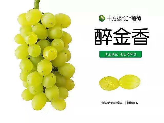 上海葡萄，醉金香，超甜可口，葡萄中的佼佼者