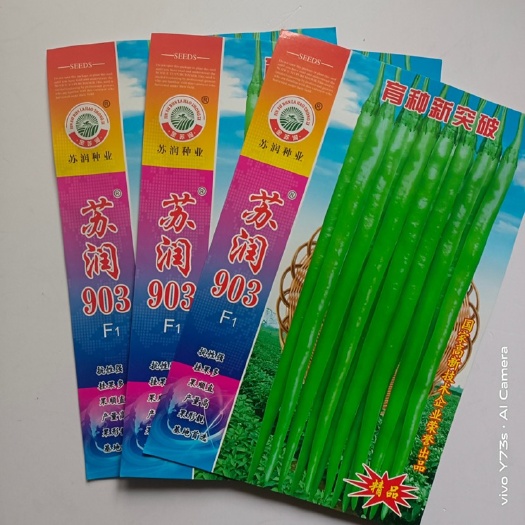 沭阳县苏润903线椒种子杂交一代颜色嫩绿色果长28到38厘米种子