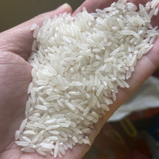 芜湖巴基斯坦5%破碎白米