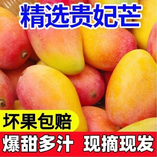 贵妃芒果红金龙芒果香芒应季水果整箱包邮3斤5斤9斤可代发