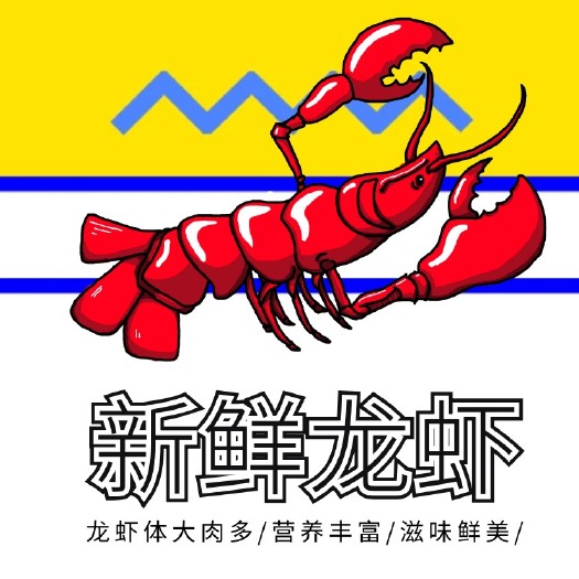 兴化市兴化小龙虾全国直批 各种规格