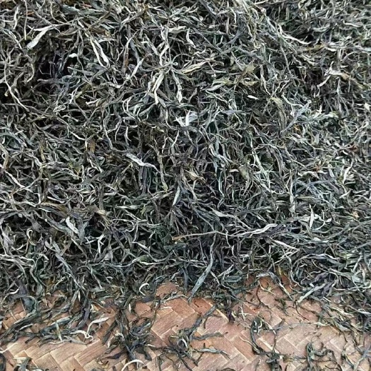 绿春县云南云雾茶  绿茶 春茶
