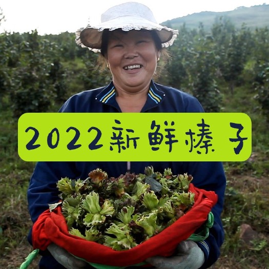 溪味道2022年新鲜带绿皮野的大榛子水仁水瓤坚果山榛子东北